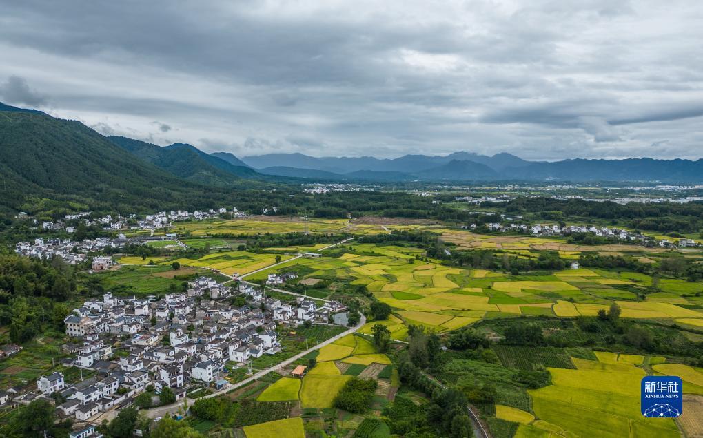 平台平台排行